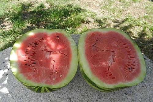 梦到吃生瓜,揭秘吃生瓜的神秘寓意 第2张 梦到吃生瓜,揭秘吃生瓜的神秘寓意 第2张