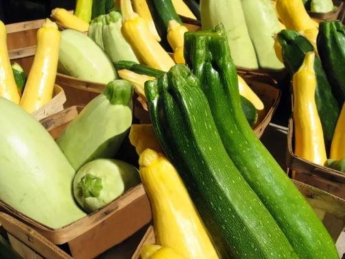 陶喜儿吃瓜,揭秘娱乐圈背后的那些事儿 第2张 陶喜儿吃瓜,揭秘娱乐圈背后的那些事儿 第2张