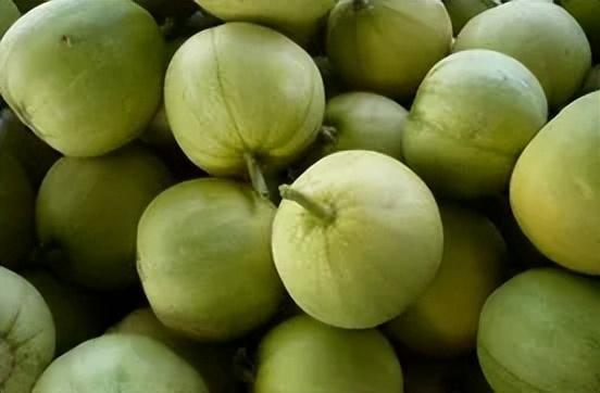 吃甜瓜是吃瓤是吃瓜,是吃瓤还是瓜肉,揭秘夏日消暑佳品 第2张 吃甜瓜是吃瓤是吃瓜,是吃瓤还是瓜肉,揭秘夏日消暑佳品 第2张