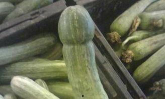 芙瑞瓜怎么吃,解锁夏日清新美味