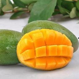 fpp小金吃瓜,揭秘fpp娱乐圈幕后风云