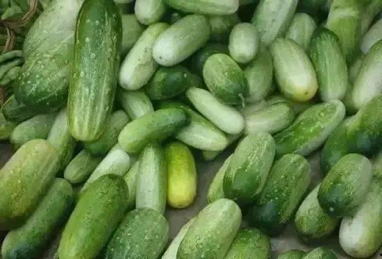 云南小海吃瓜,瓜果飘香，品味田园生活