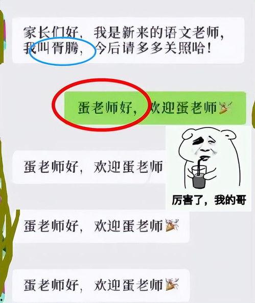 吃瓜班级群文案,校园生活的趣味瞬间