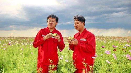 张鑫吃瓜,揭秘娱乐圈幕后故事