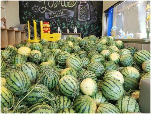 古代吃瓜观众,揭秘古代“吃瓜群众”的娱乐生活