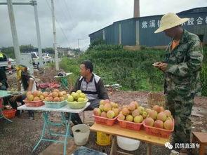 路边吃瓜摊主怎么赚钱