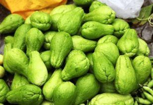 东篱下吃瓜,揭秘瓜田里的那些事儿