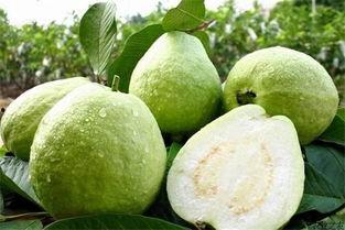 云南公园吃瓜事件,一场引发热议的公共行为探讨