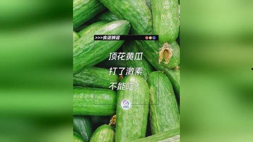 不吃花只吃瓜,探寻不吃花只吃瓜的独特饮食习惯