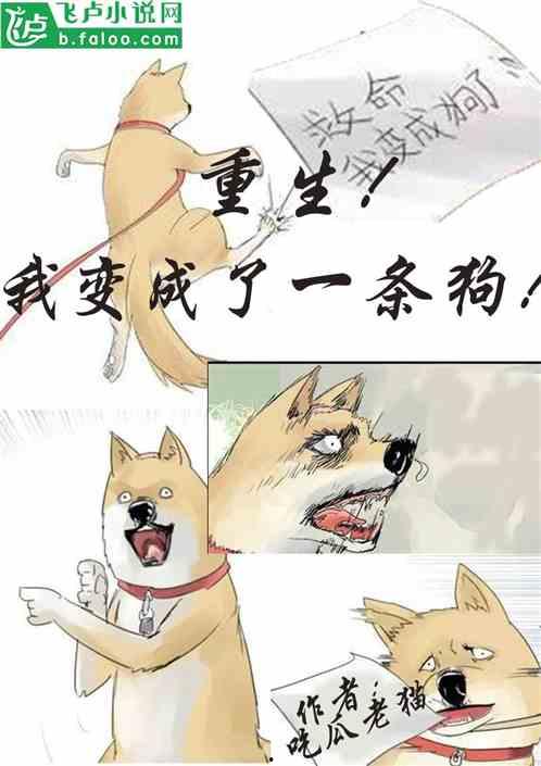 动物吃瓜小说全文,一场跨越物种的美食冒险