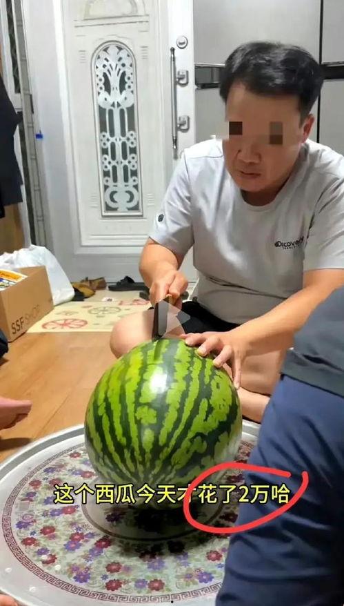 又来买瓜吃,探寻夏日消暑美食之旅