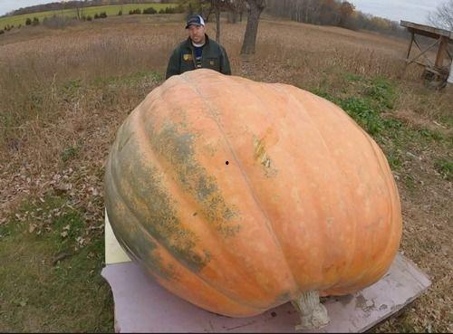 吃瓜容易呕吐吗,吃瓜引发呕吐现象揭秘