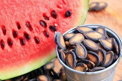 吃瓜是吃西瓜还是瓜子,吃瓜究竟是指西瓜还是瓜子？