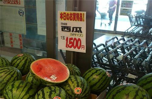 国商院吃瓜,揭秘吃瓜背后的商业秘密