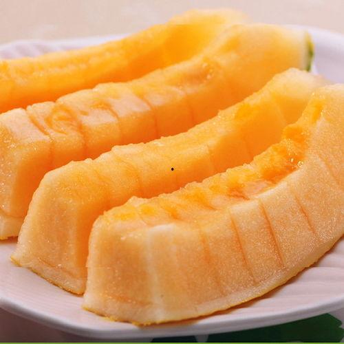 白颠疯可以吃哈密瓜,天然滋养，健康生活