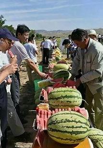 苏州吃瓜事件人物