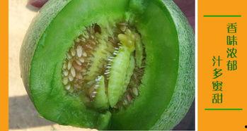 二达子吃瓜,揭秘娱乐圈幕后故事