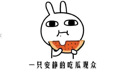 全网吃瓜最新事件