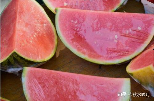 网上吃瓜怕什么