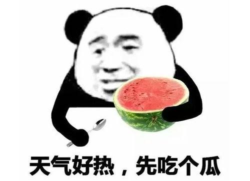 手机吃瓜表情包,网络时代的趣味社交新宠